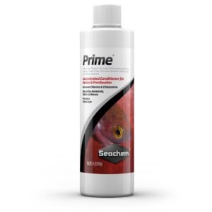 Prime ®